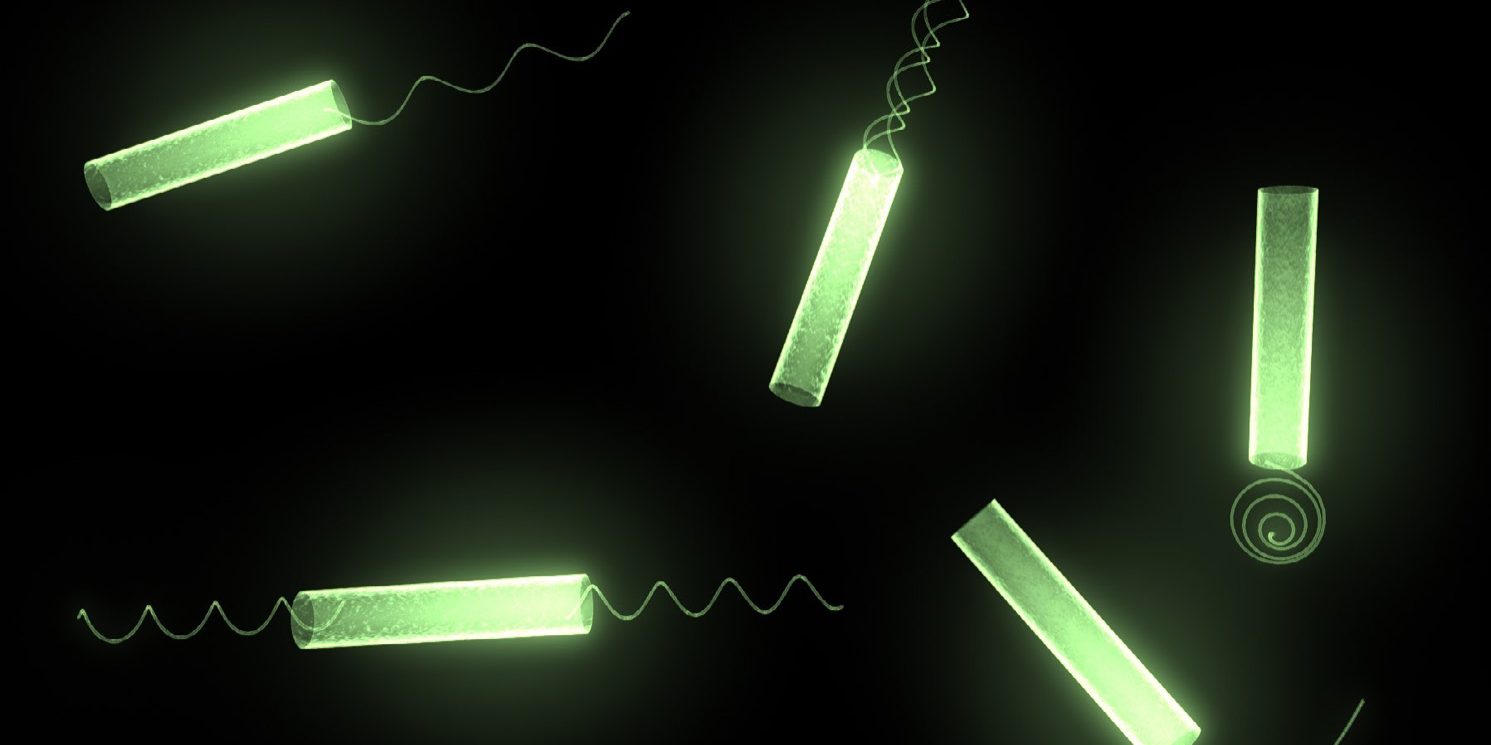 Figure 2. Bacteria inspired micro-robots are composed of a tubular body and various types of flagella.