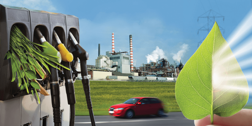 Source: Office of Energy Efficiency and Renewable Energy

https://www.energy.gov/eere/bioenergy/bioenergy-basics