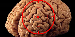 Brain-Target-300x192