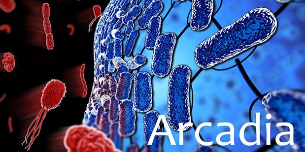arcadia-619a Source: DARPA